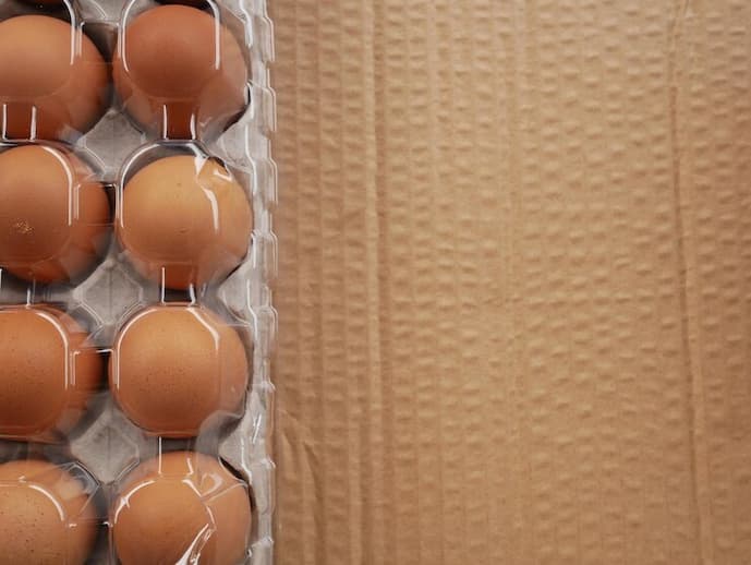 Descubra onde comprar embalagem para ovos de galinha  direto da fábrica
