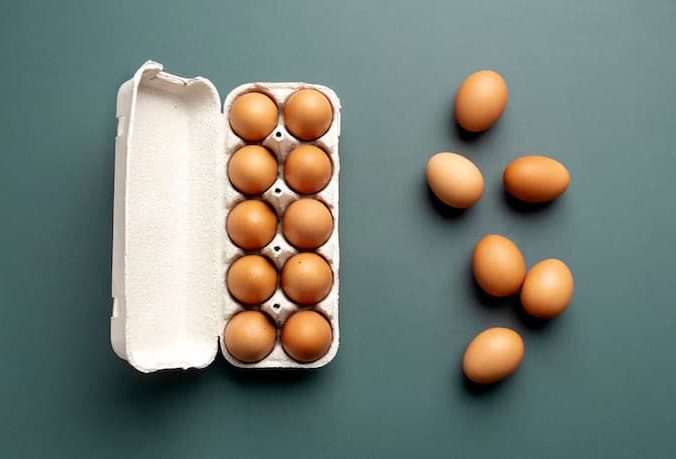 Descubra onde comprar embalagem para ovos de galinha direto da fábrica